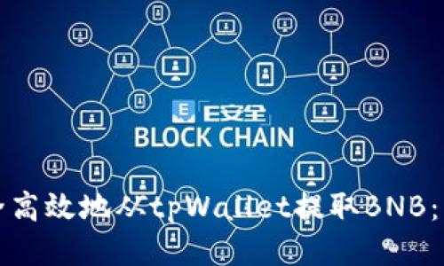 如何安全高效地从tpWallet提取BNB:详细指南