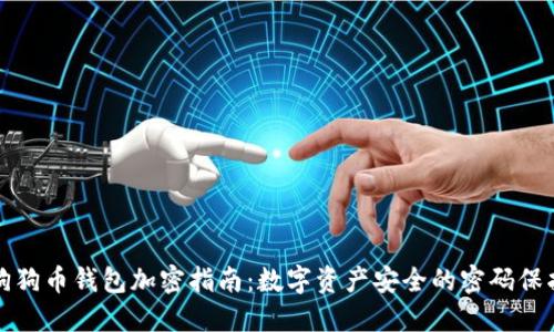 狗狗币钱包加密指南：数字资产安全的密码保护