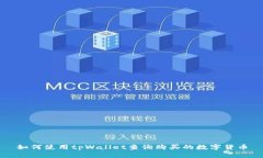 如何使用tpWallet查询购买的
